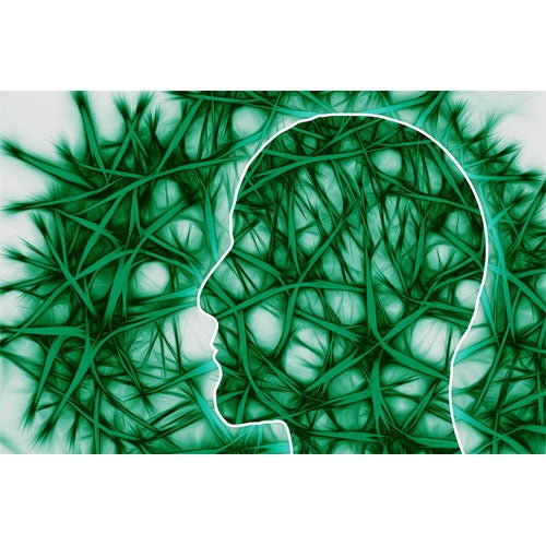 MindMotion Pro – sistemul de reabilitare bazat pe realitatea virtuală