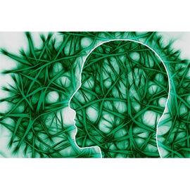 MindMotion Pro – sistemul de reabilitare bazat pe realitatea virtuală