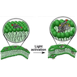 Pas uriaș în medicină: Au fost inventate nanomașinile care distrug celulele canceroase!