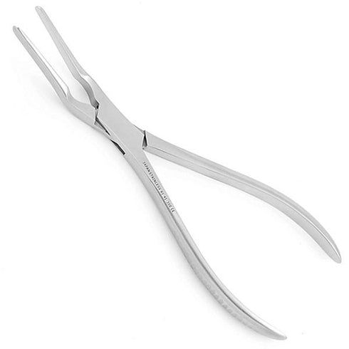 Cleste sept nazal Asch, 23 cm
