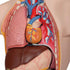 Mini tors anatomic uman, 12 componente