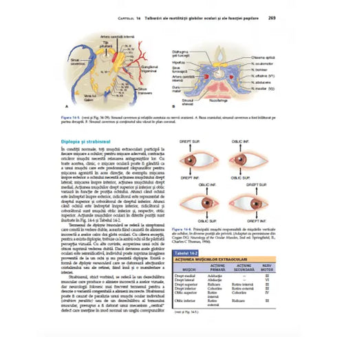 Adams&Victor, Principiile si Practica Neurologiei Clinice