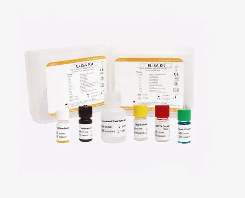 Kit Elisa - Fertilitate ß-HCG (one step)