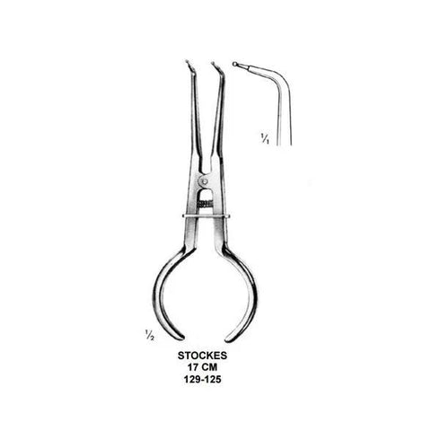 Cleste cleme diga Stokes, 17 cm, Medenta