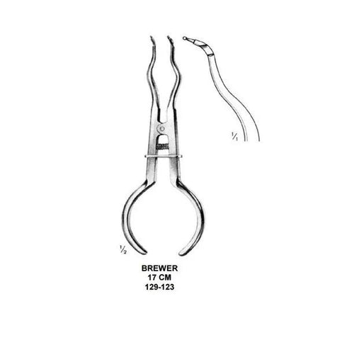 Cleste cleme diga Brewer, 17 cm, Medenta