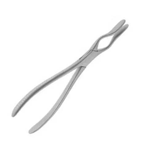 Cleste sept nazal Walsham, 23 cm