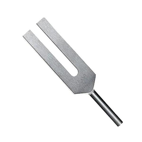 Diapazon medical Riester C4 2048Hz, otel