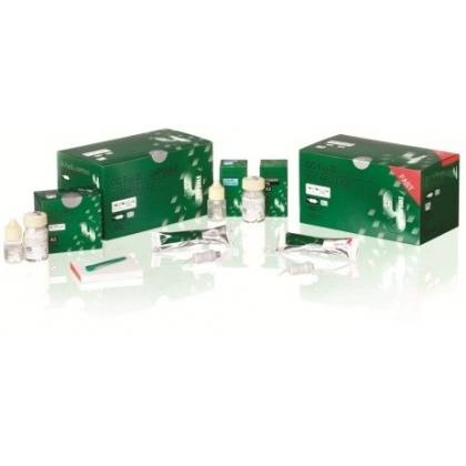 GC Fuji IX GP Set 3-2 | Medizone