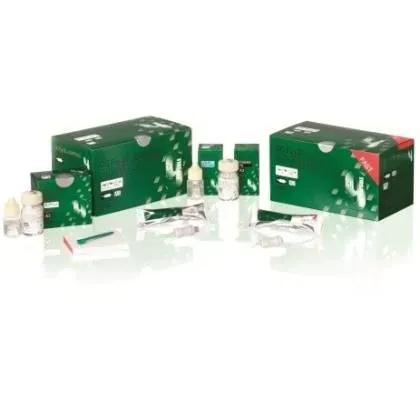 Ciment ionomer sticla GC Fuji IX GP Set 3-2