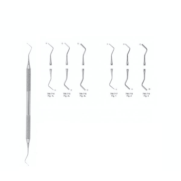 Fuloar dublu | Medizone