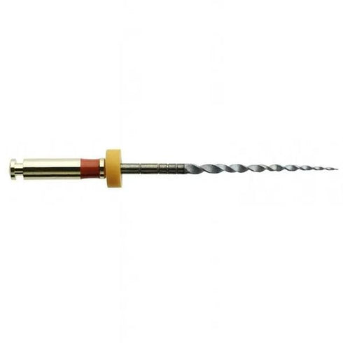 Ace HyFlex EDM OneFile, 25 mm, Whaledent