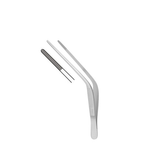 Pensa auriculara Troeltsch | medizone.ro