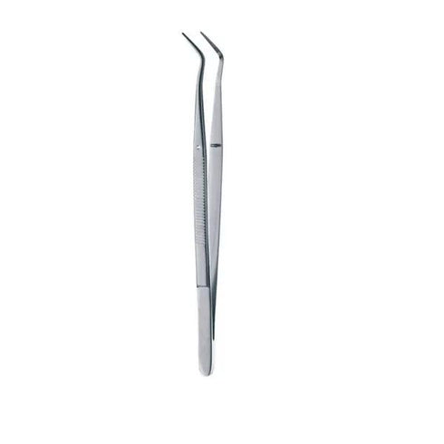 Pensa dentara Meriam