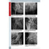 Radiologie musculo-scheletica, diagnostic complex prin radiologie clasica, ecografie si CT