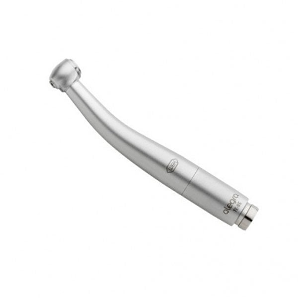 Turbina Alegra TE-95 BC, W&H