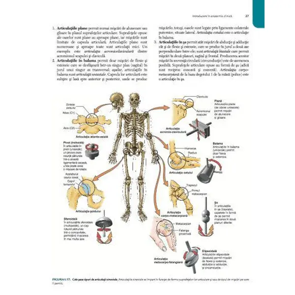 Anatomie Clinica, Fundamente si Aplicatii