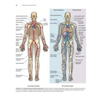 Anatomie Clinica, Fundamente si Aplicatii