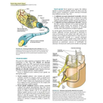 Anatomie Clinica, Fundamente si Aplicatii