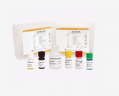 Kit Elisa - Hormoni salivari 17-OH Progesteron (one step)