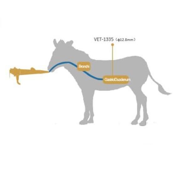 plansa orientativa video andoscop veterinar vet 1330