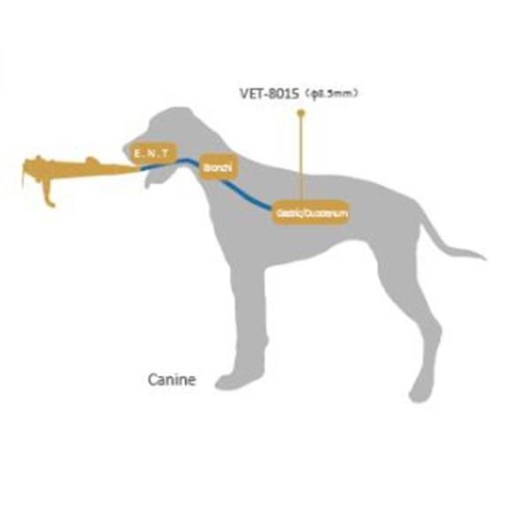video endoscop veterinar vet 8015 plansa orientativa